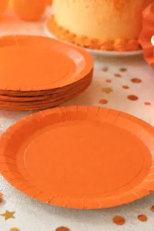 Offre Du Jour Assiette carton Orange ronde 23 cm x 10 pièces