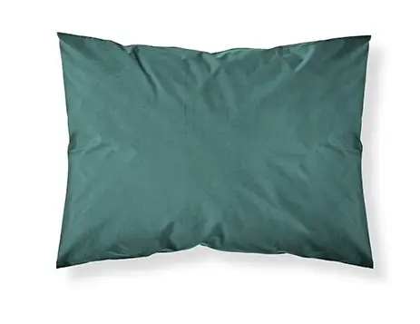 Taie d'oreiller Rectangulaire 50x70 Emeraude TODAY Expédition Rapide