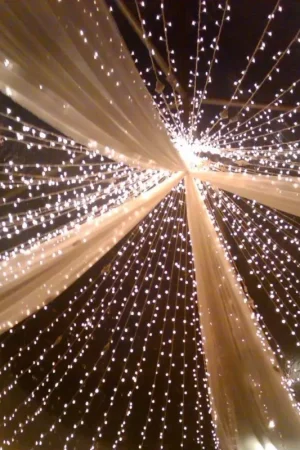 Tenture mariage en tulle Or 75cm x 9 mètres Must-Have