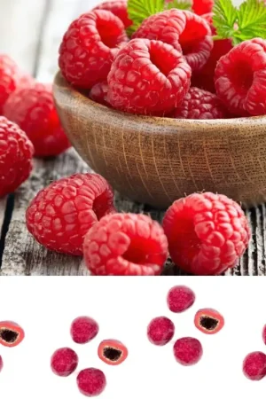 Dragees pate de fruit Framboise enrobé chocolat Top Vente
