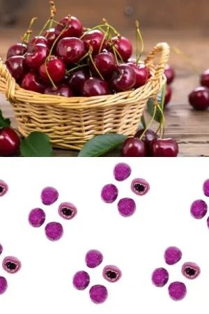 Dragees pate de fruit Cerise enrobé chocolat Soldes
