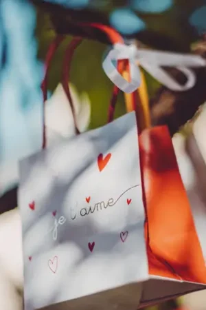 6 Sacs cadeaux Je t'Aime Acheter En Ligne