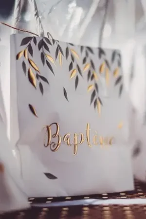 6 Sacs cadeaux Baptême Vegetal Prix Promo