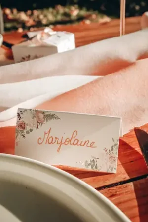 Vente Directe Marque place Vegetal Peony Rose Gold x 10 pièces