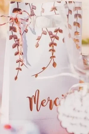 6 Sacs cadeaux Vegetal Rose gold Populaire