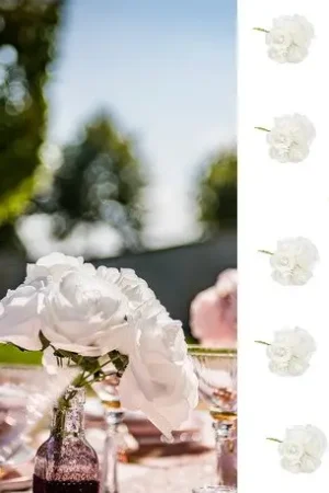Top Vente 8 roses mousses blanches sur tige 15cm