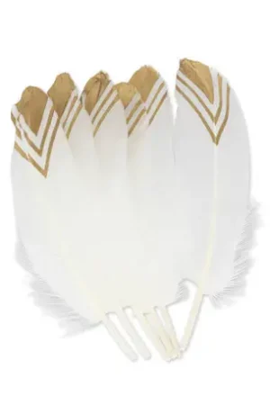 Commander Maintenant 6 Plumes ethniques blanc et or 18-20cm