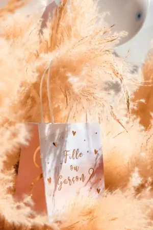 6 Sacs cadeaux Fille ou Garçon gender reveal Quantité Limitée