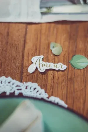 100 Confettis Amour Eucalyptus Seulement Aujourd'hui