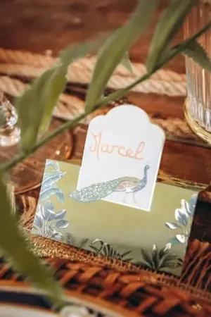 Bon Plan Marque place Tropical Peacock x 10 pièces