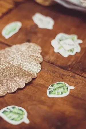 100 Confettis theme mariage Tropical Offre Du Jour