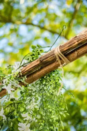 Seulement Aujourd'hui Lot de 3 bois flottes naturels