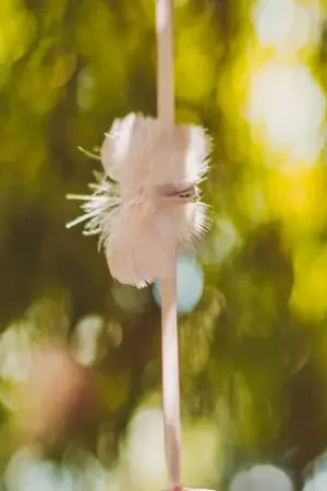 6 Pinces papillons plumettes blanches Meilleur Choix
