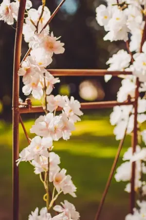Guirlande de fleurs de cerisier Blanches Vente Directe