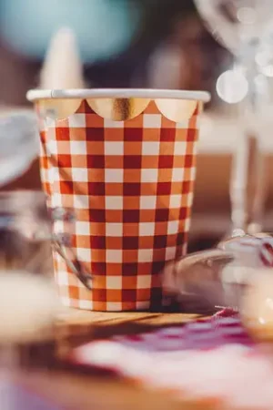 Must-Have Gobelet en carton Guinguette Vichy x 8 pièces