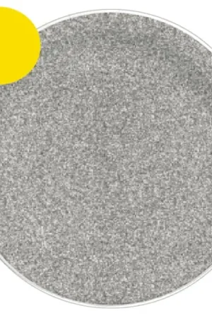 Assiette carton Etincelante Argent x 10 pièces Acheter Direct