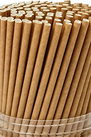 Meilleure Vente Pailles en papier kraft Bio x 200 pièces
