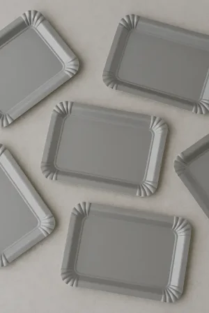 Plateau en carton Gris 24 x 33 cm x 5 pièces Vente Directe