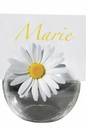 Prix Réduit Marque place boule en verre transparent