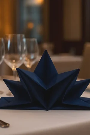 Remise Serviette pré pliée en papier Bleu Marine x 12 pièces