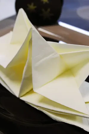 Haute Qualité Serviette en papier pré pliée Ivoire x 12 pièces