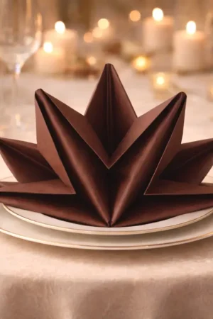 Serviette en papier pré pliée Chocolat x 12 pièces Acheter En Ligne