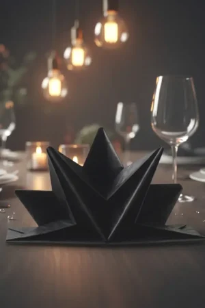 Serviette en papier pré pliée Noir x 12 pièces Prix Promo