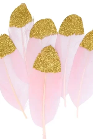 6 Plumes déco Lovely Swan Nouveauté