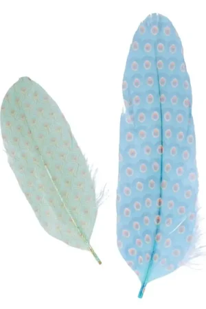 Acheter En Ligne 6 Plumes déco My Lord