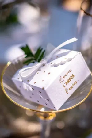 Boite dragees blanche avec petits coeurs x 10 Meilleur Prix