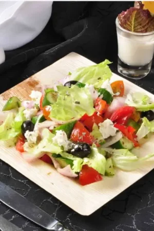 Assiette carrée en feuille de palmier 23cm x 10 pièces Meilleure Vente