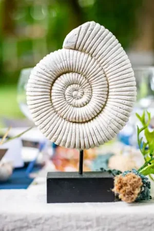 Nouvel Arrivage Centre de table Coquillage escargot sur socle