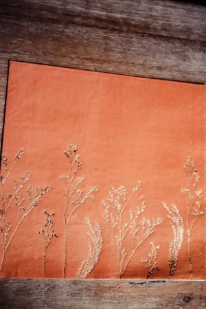Commander Maintenant Serviette en papier Brindilles x 16 pièces