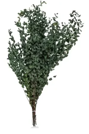 Bouquet de buis vert foncé Nouveauté