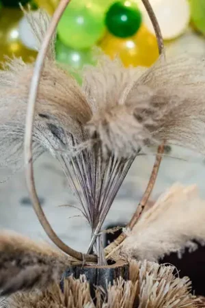 Armature cercle bambou Nouveauté