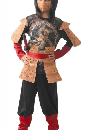 Déguisement Ninja Dragon 4/6 Ans Prix Réduit