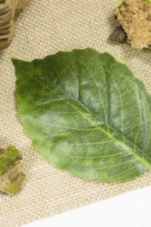 Lot de 2 Feuilles d'Hortensia Meilleur Prix