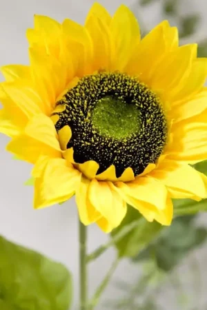 Grand Tournesol Mariage 75cm Paiement Sécurisé