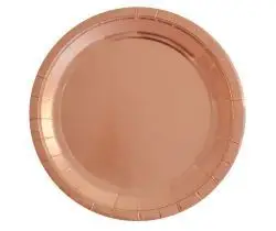 10 Assiettes en carton cuivre métallisé 23cm Achat Immédiat
