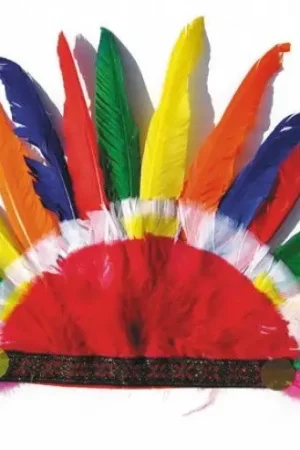 Coiffe Indienne Multicolore Solde