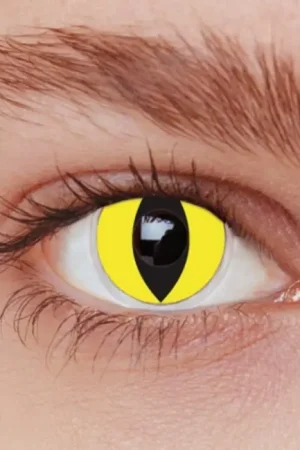 Lentilles Chat Jaune (sans correction) Usine Directe