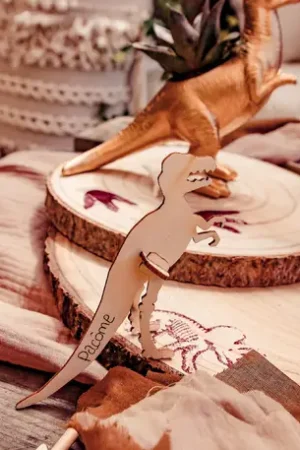 Soldes 8 marque places Dinosaure 3D en bois