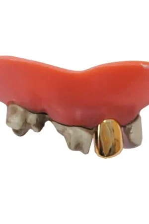 Dentier Dents Pourries Seulement Aujourd'hui