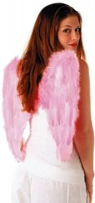 Prix Bas Ailes d'Ange 50cm Roses