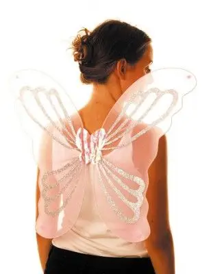 Ailes Papillon 65 cm Retour Gratuit