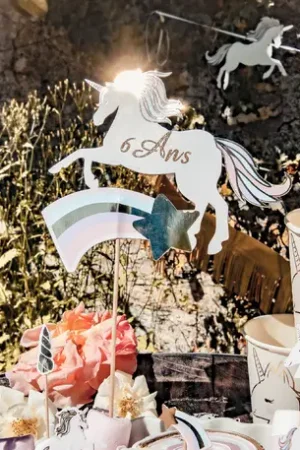 Nouvel Arrivage Décoration Sur Pic Licorne