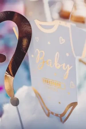 Kit photobooth Gender Reveal Fille ou Garçon x 12 Meilleur Prix