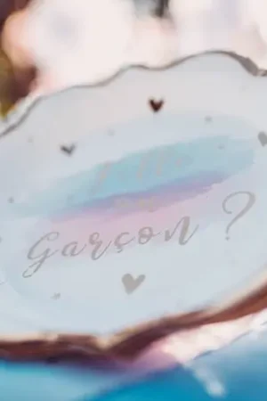 8 Assiettes en carton Gender Reveal Pas Cher