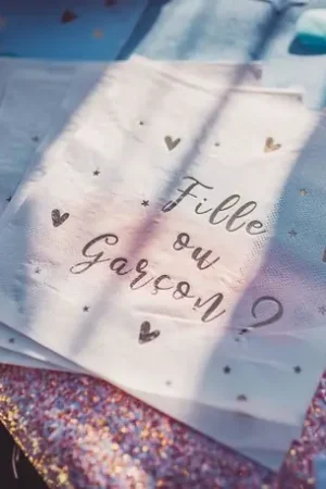 Authentique Serviette en papier Gender Reveal x 16 pièces
