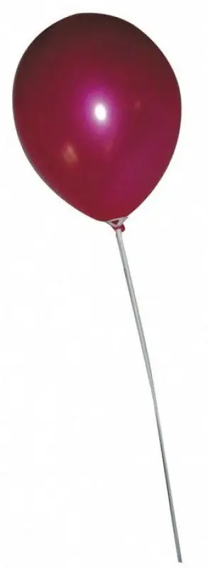 Tiges à Ballons x100pcs Petit Prix